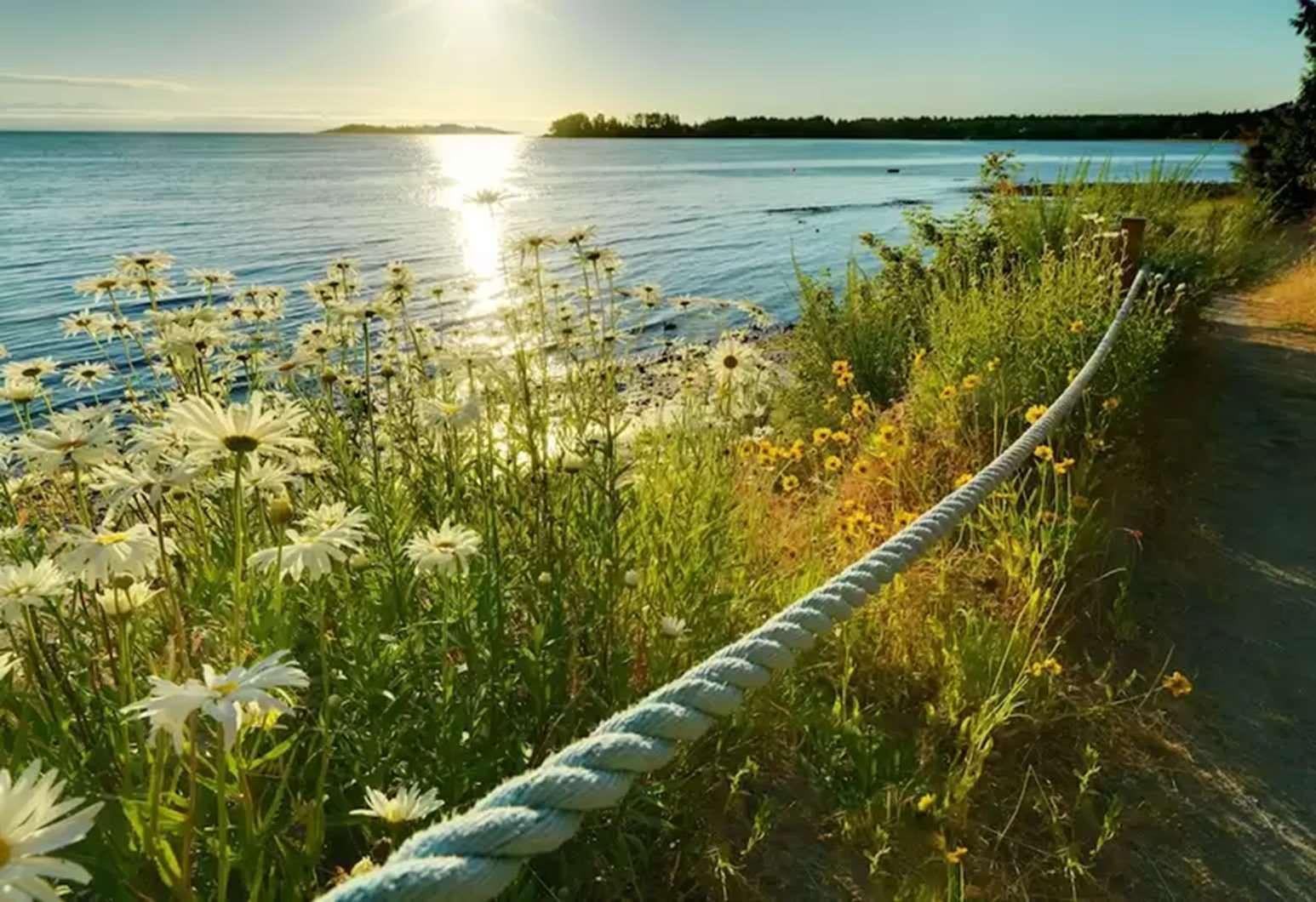 Sunrise Ridge Waterfront Resort Парксвілл Екстер'єр фото